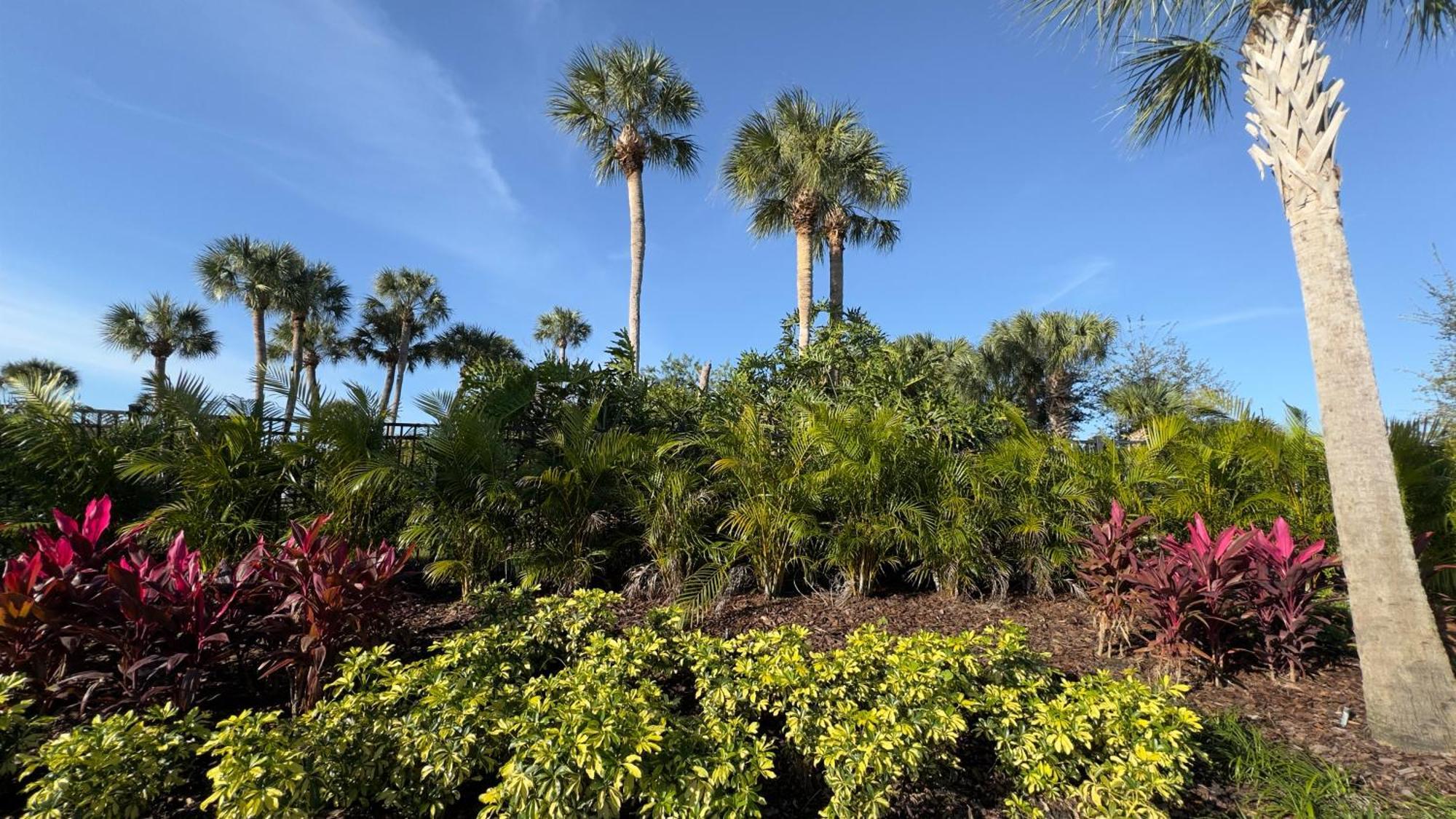 Avanti Palms Resort And Conference Center Orlando Exterior photo